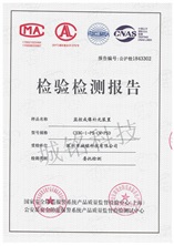 頻閃燈檢測報(bào)告